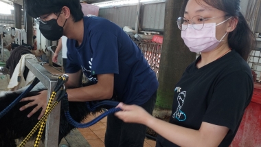 守護毛孩，重拾生命的溫度——徐園長護生園志工之旅